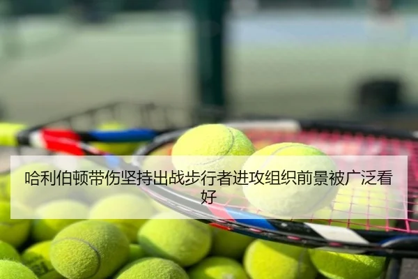 哈利伯顿带伤坚持出战步行者进攻组织前景被广泛看好