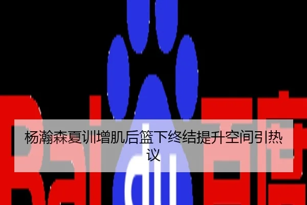 杨瀚森夏训增肌后篮下终结提升空间引热议